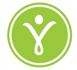 Ivvo logo